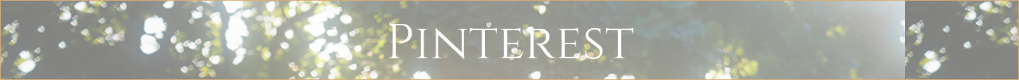 Pinterest logo centered on a sunlit forest background (decorative header)