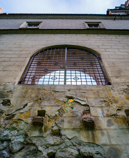 Arched window with iron bars in a stone wall above a crumbling rock face; a small yellow flower grows from a crack.