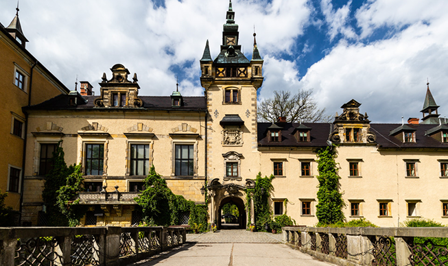 Historic stone castle with a central arched gate, ivy-covered walls, and a stone bridge leading to the entrance.