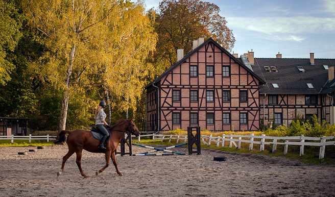 Person riding a brown horse in an outdoor riding arena with autumn trees and a timber-framed building in the background.