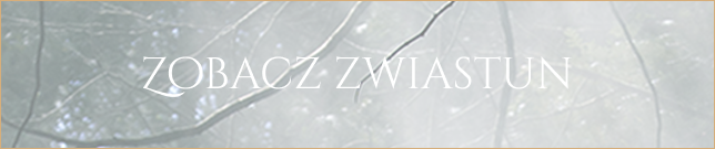 Przycisk: ZOBACZ ZWIASTUN, na tle leśnego krajobrazu