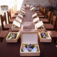 Long banquet table with open wooden boxes containing blue bottles on moss, each with tags, arranged for an event against a sunlit wall.